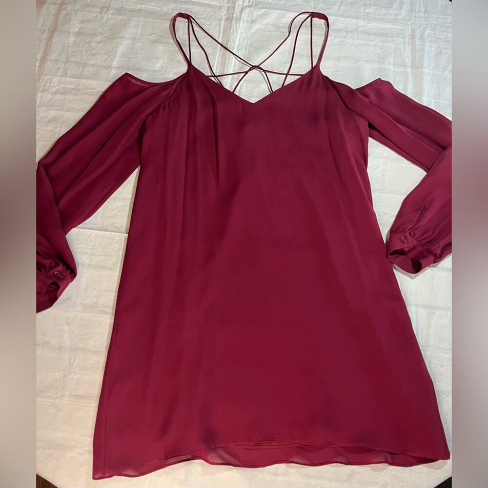 Haute Hippie Silk Dress M